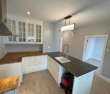 2566 Av. Hector, H1L 3X4, H1L 3X4, Montréal - Photo 2