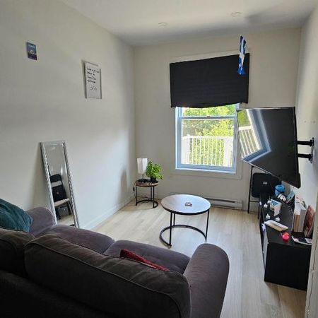 3 1/2 lumineux et meublé à louer Rosemont Petite- Patrie / Petite Italie à 10 min de Beaubien - Photo 3