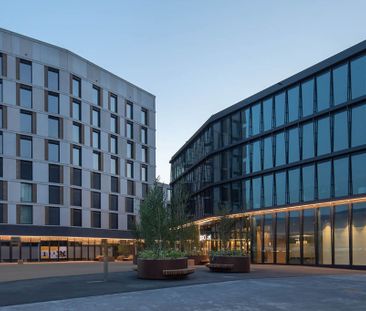 2.5 Zimmer, 52 m², 2. Stock - Foto 1