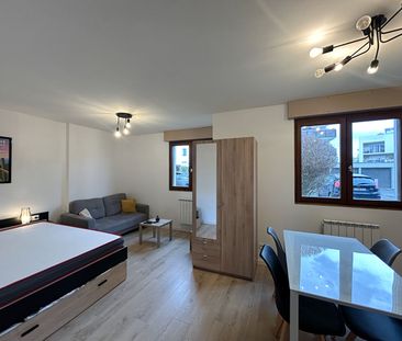 Location Appartement 1 pièce 25m² - Photo 5