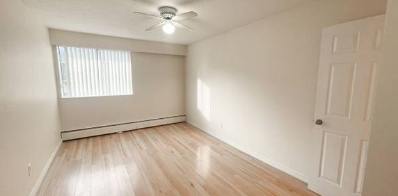 2 Bedroom + 1.5 Bathroom - Fully Renovated unit - Photo 2