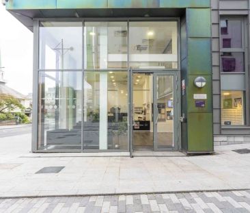 Bronze Studio - Photo 4