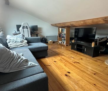 Location Appartement 2 pièces 50m² CHAMPAGNE AU MONT D OR 69410 - Photo 1
