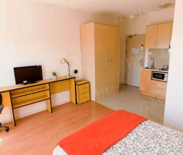 Large Studio style 3 - Photo 3