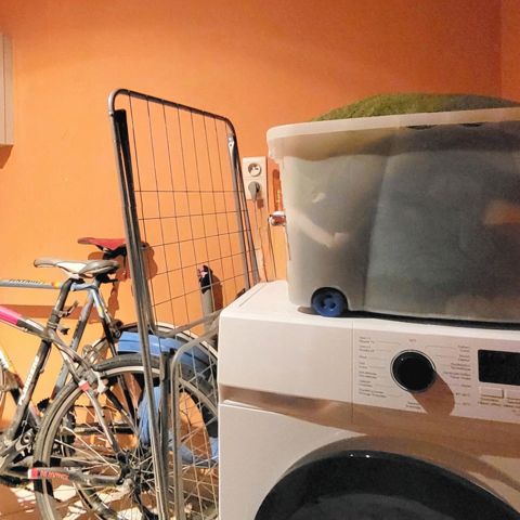 Gelijkvloers appartement met groot terras en 2 slaapkamers - Foto 1