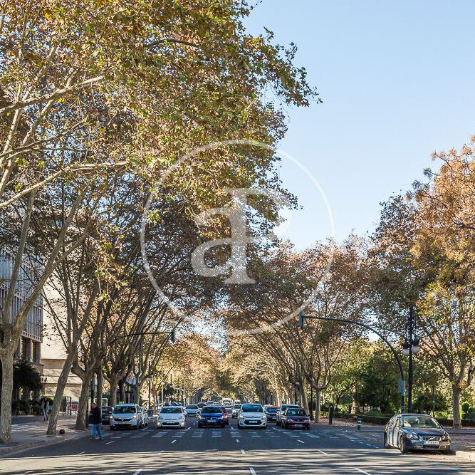 Apartment for rent in Ayora - Photo 1