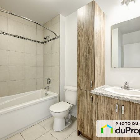 4974 place de la Savane, Côte-des-Neiges / Notre-Dame-de-Grâce à louer - Photo 4