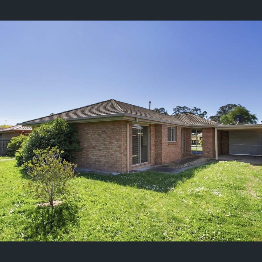 Neat & Tidy 3-Bedroom Brick Home - Photo 1
