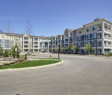 1 Bed + Den Condo For Rent In Auburn Bay W/ Undgr. Parking/ In Suit... - Photo 6