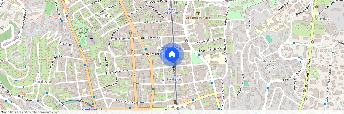 23 AV GALLIN, NICE BORRIGLIONE