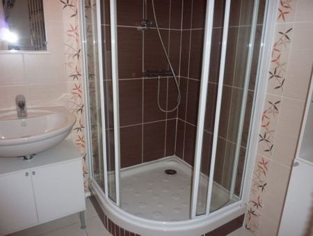 Location Appartement 1 pièce 29m² ANGERS 49100 - Photo 4