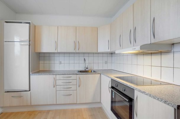 Stor og rummelig lejlighed - Foto 1