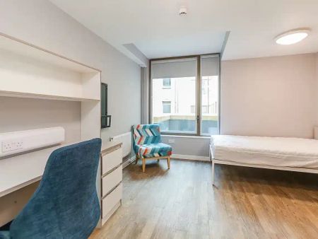 7 Bed Cluster - Photo 4