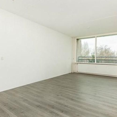 Cruquiuslaan, 2332 Leiden, Nederland - Foto 1