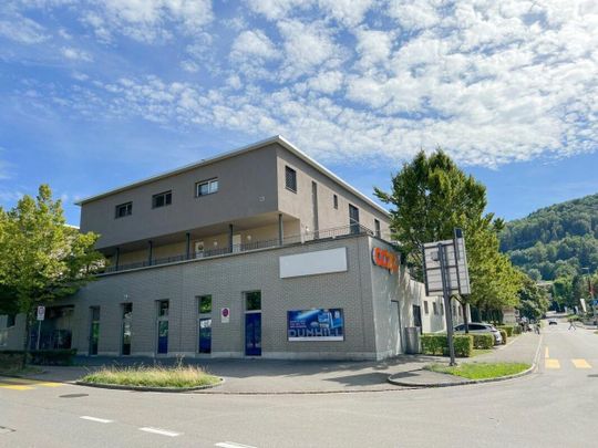 Wonderful apartment in the standard of ownership - Photo 1