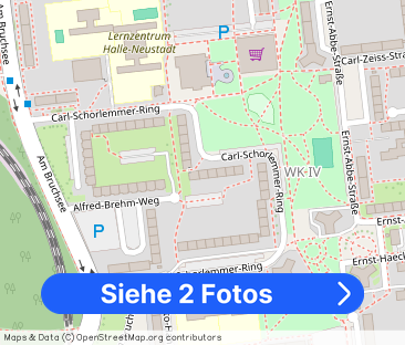 Sanierte 1-Raumwohnung mit ebenerdiger Dusche im Aufzugsobjekt - Foto 1