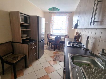 Mieszkanie na wynajem, cicha i spokojna okolica - Photo 5