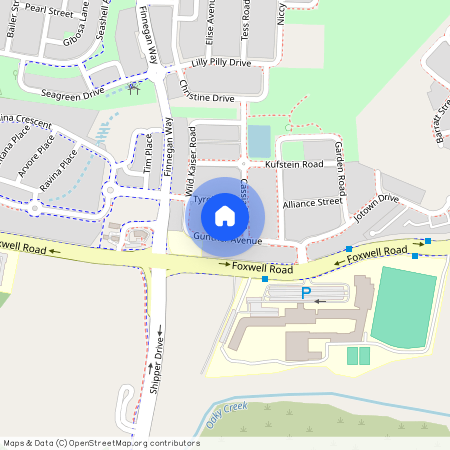 25 Gunther Avenue, Coomera, QLD 4209