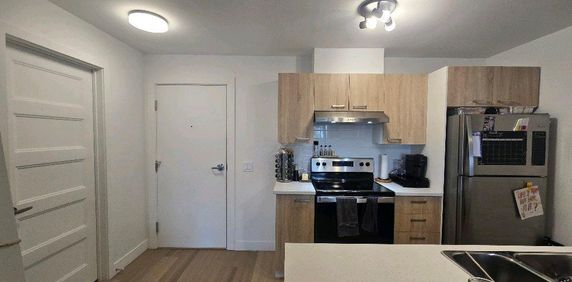 5 1/2 neuf 2024- Gym, piscine, internet & Électros inclus - Cession de bail - Photo 2