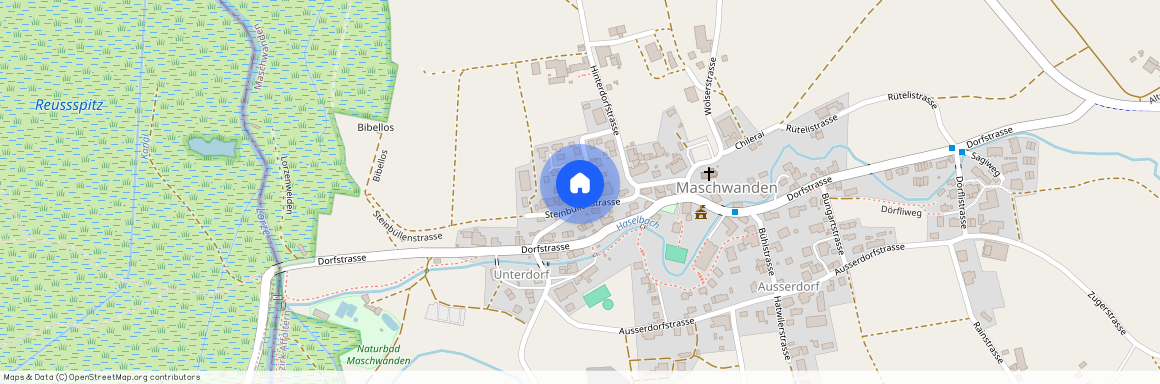 Steinbüllenstrasse 12, Maschwanden, Zurich, 8933, Suisse