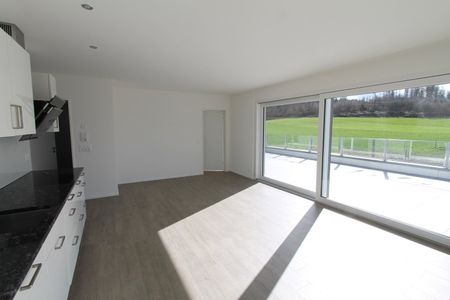 Helle Attika Wohnung mit Aussicht ins Grüne - Photo 2