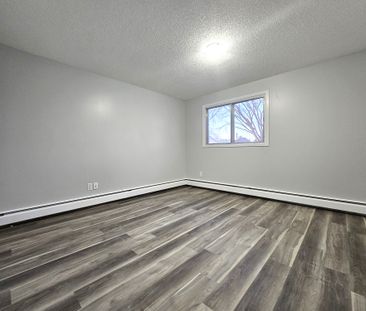 AMAZING FULLY RENO'D Apartment in Lacombe! CATS OK! - Photo 1
