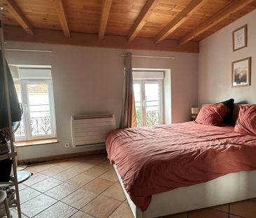 Location Appartement 2 pièces 50m² CHAMPAGNE AU MONT D OR 69410 - Photo 4