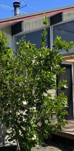 4 Bedroom -Tamarau - Photo 2