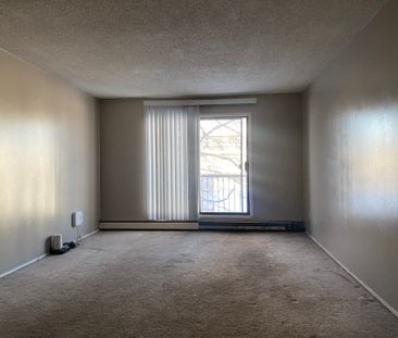 Alpine Lodge – 1 Bedroom - Photo 2