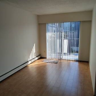 NEAR DOWNTOWN - TOP FLOOR , RENOVATED 1 BR SUITE - Photo 1