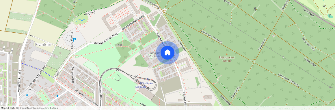 George-Sullivan-Ring 44, 68309, Mannheim