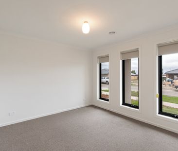 Modern family home in Bonshaw - Photo 6