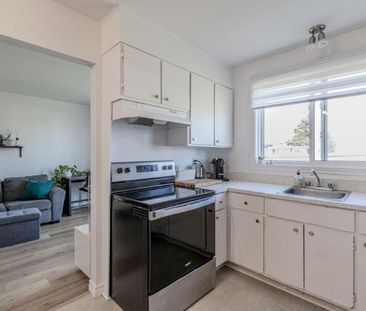 Appartement 3 ½ à louer Lévis novembre 2025 - Photo 1