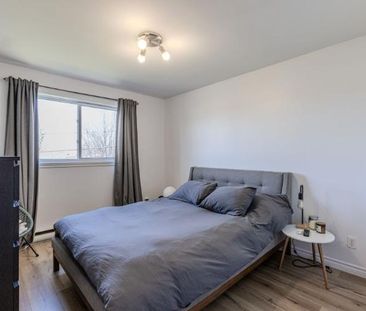 Appartement 4 ½ à louer Lévis juillet 2026 - Photo 1