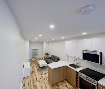 3 1/2 - Montréal (Hochelaga / Maisonneuve) - 1 350 $/mois - Photo 1