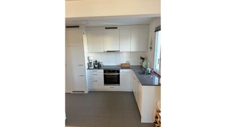 3½ Zimmer-Wohnung in Richterswil (ZH), möbliert, auf Zeit - Photo 4