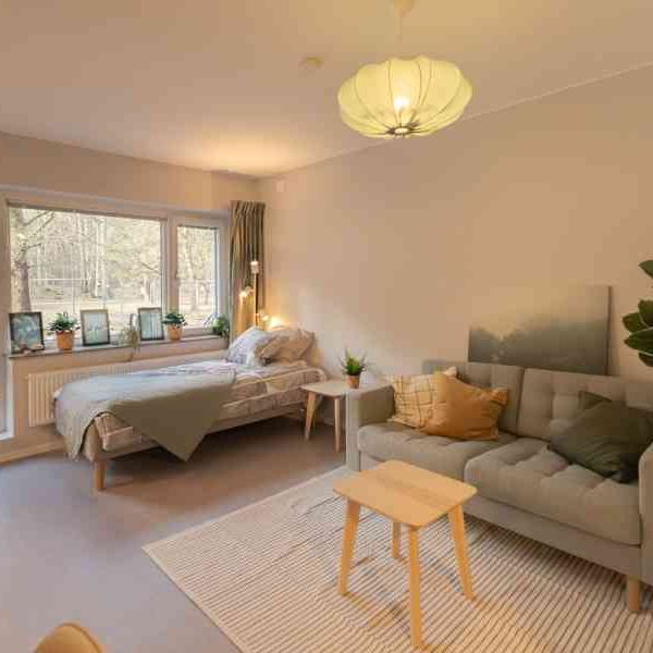 Flamman, Västanågatan 30A.218 - Photo 1