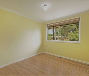 78 Pennefather Street, Higgins ACT 2615 - House For Rent | Domain - Photo 2