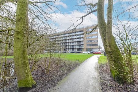 Berberisweg 392, Schiebroek, 3053PL, Rotterdam - Photo 4