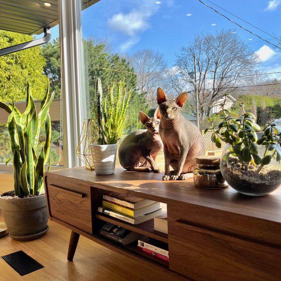 4 ½ à Louer, Animaux Acceptés! - Photo 1