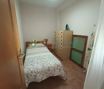 Oliva - Foto 4