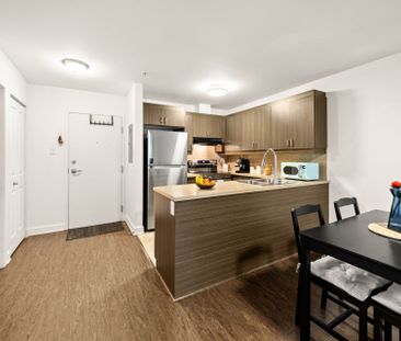 7020 Rue Allard, #233 - Photo 4