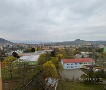 Pronájem bytu 3+1 69 m - Photo 2