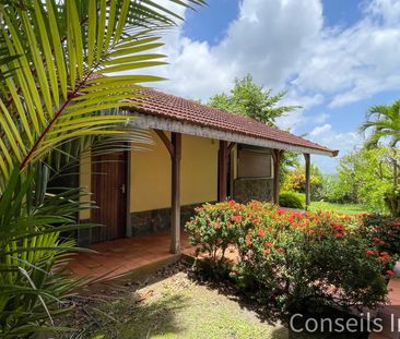 Location Maison 6 pièces 178m² LE ROBERT 97231 - Photo 1