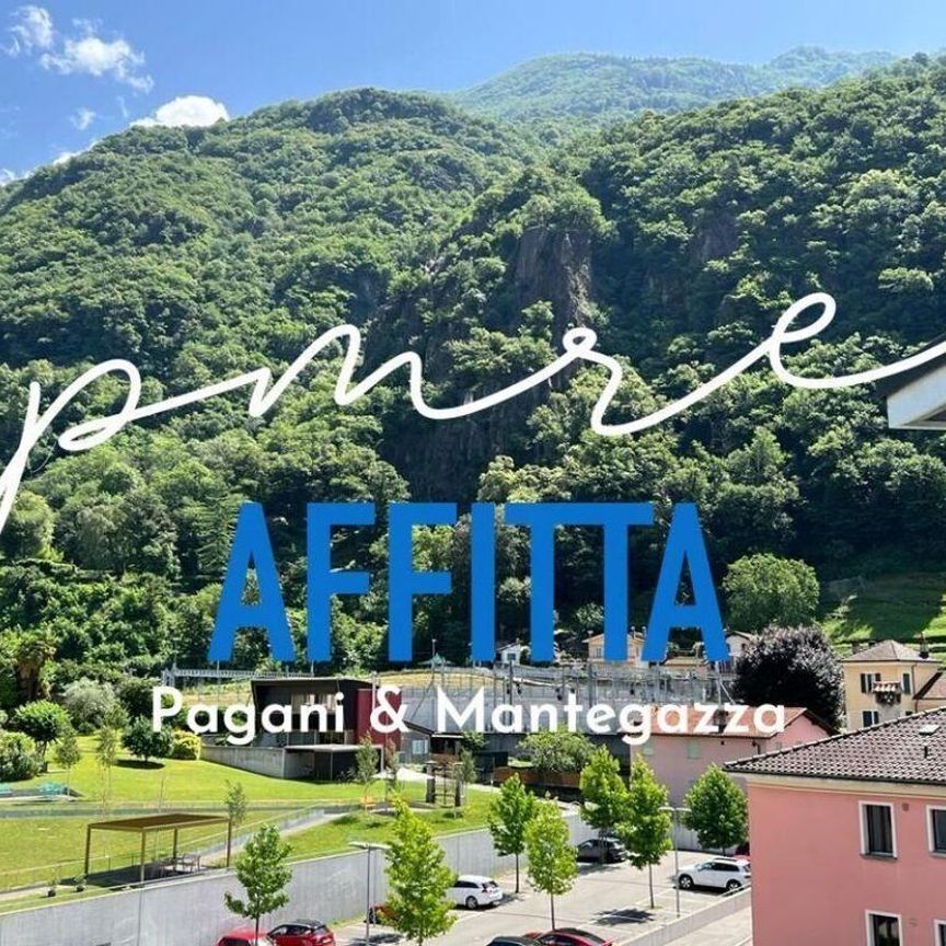 4.5 LOCALS IN BELLINZONA | FAMILY FRIENDLY - Photo 1
