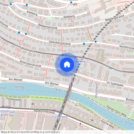 Ackersteinstrasse 26, 8049, Zürich