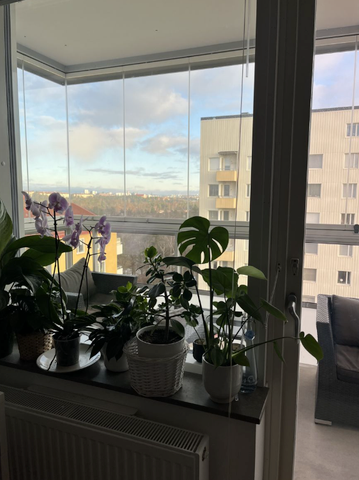 Agnes Lagerstedts gata, Hägersten - Foto 5