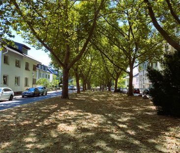 Möblierte, top-gepflegte 2-Zi.-Wohnung auf der Parkinsel - Ludwigsh... - Photo 4