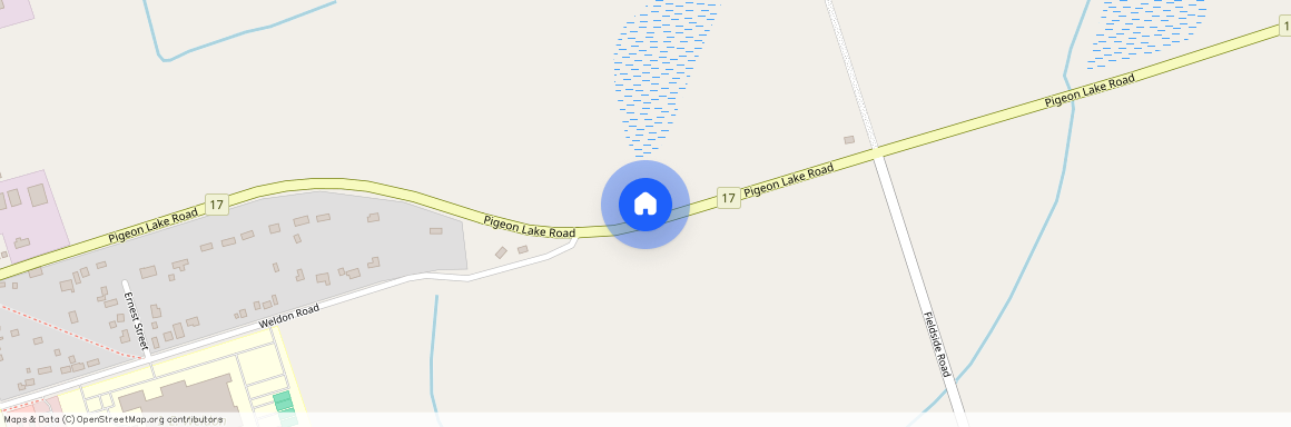 111 Corley Street, Kawartha Lakes