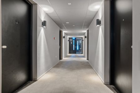 Te huur: Van Sijpesteijnkade 531 - Photo 4